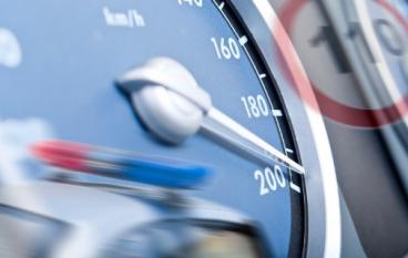 Медвежья услуга.