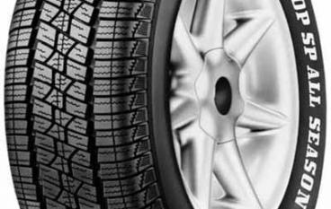 Dunlop SP All Season M2