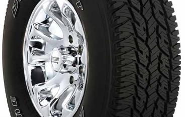 Bridgestone Dueler A/T 695