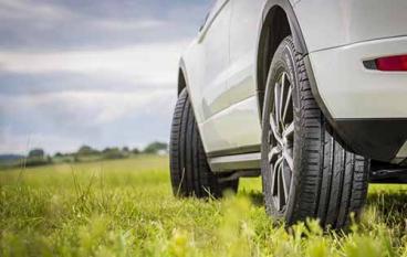 Выбираем шины