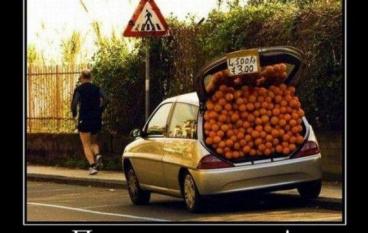 Пошла на нерест